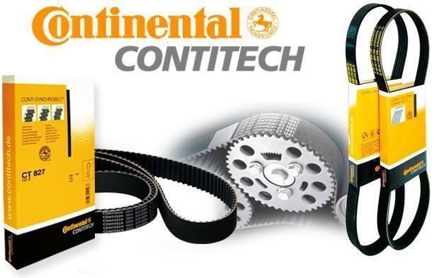CORREA 5PK1219