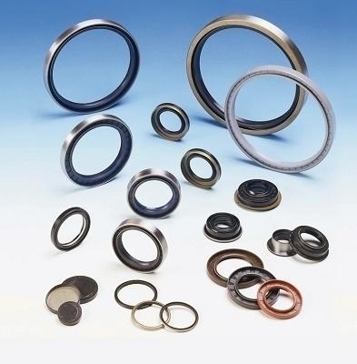 ER 60X80X12 PTFE-1